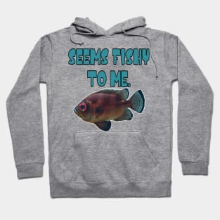 Seems Fishy To Me Hoodie